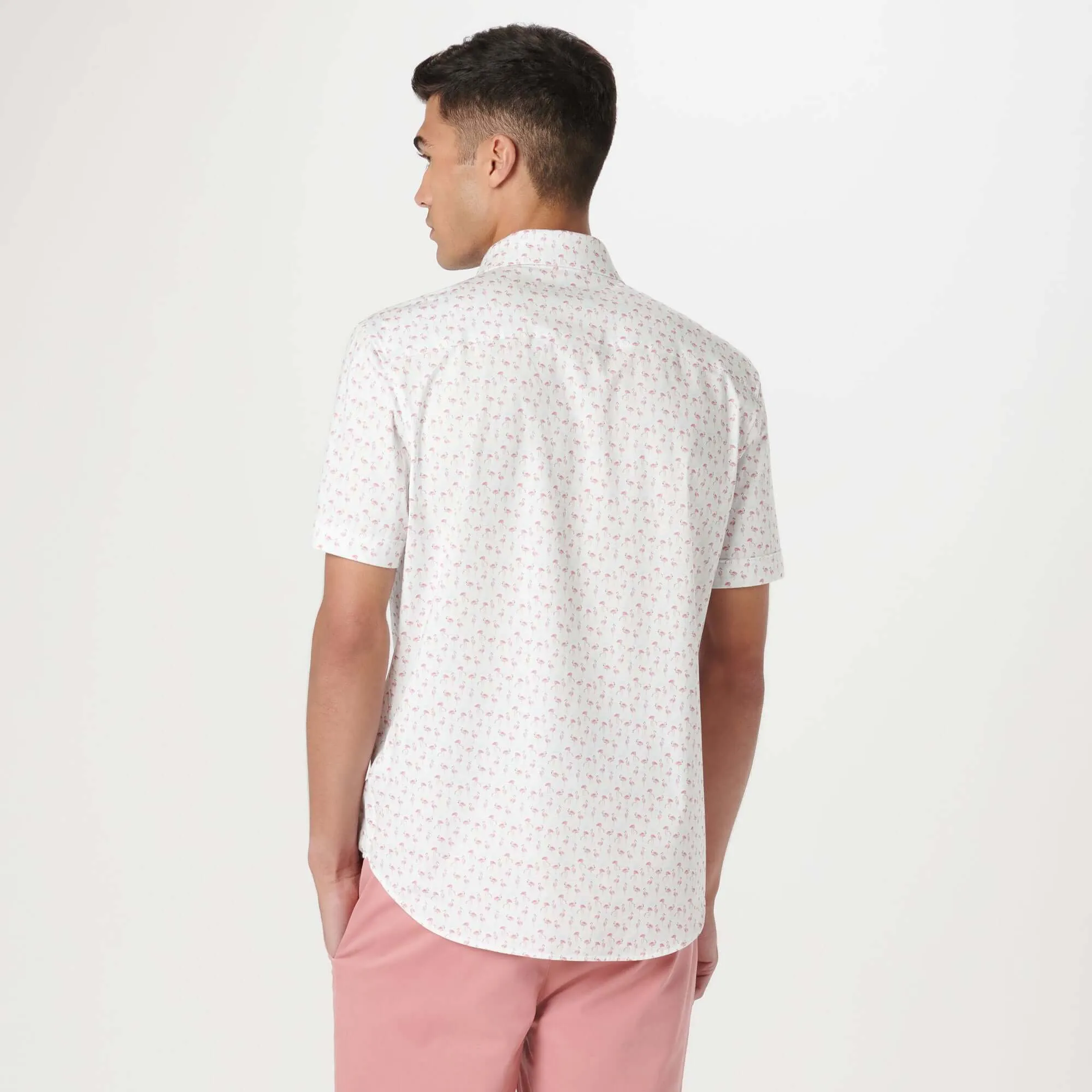 Bugatchi Ooohcotton Miles Flamingo Print Short Sleeve Sport Shirt - Chalk