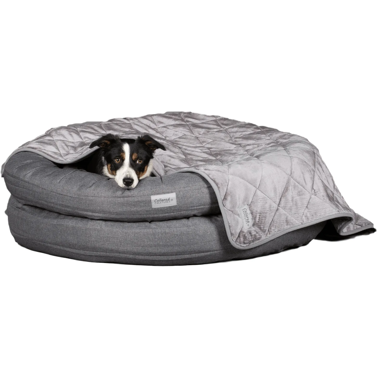 Collared Creatures - Luxury Quilted Grey Pet Blanket