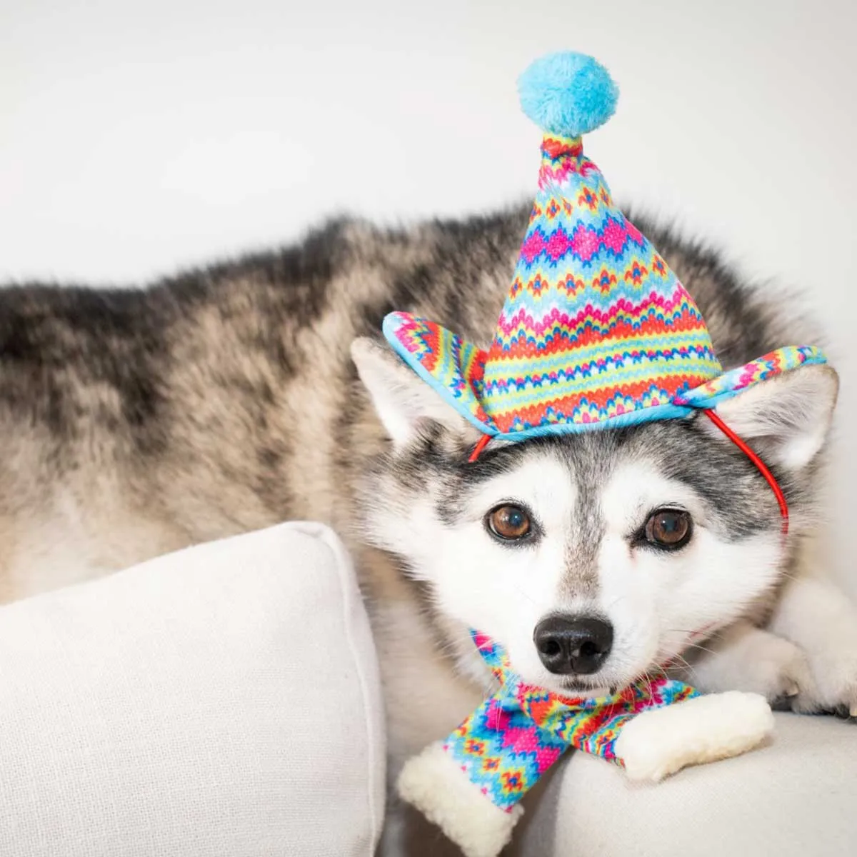 Fairisle Pet Scarf