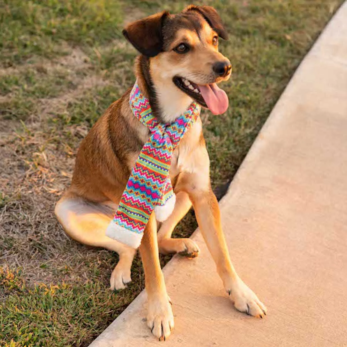 Fairisle Pet Scarf