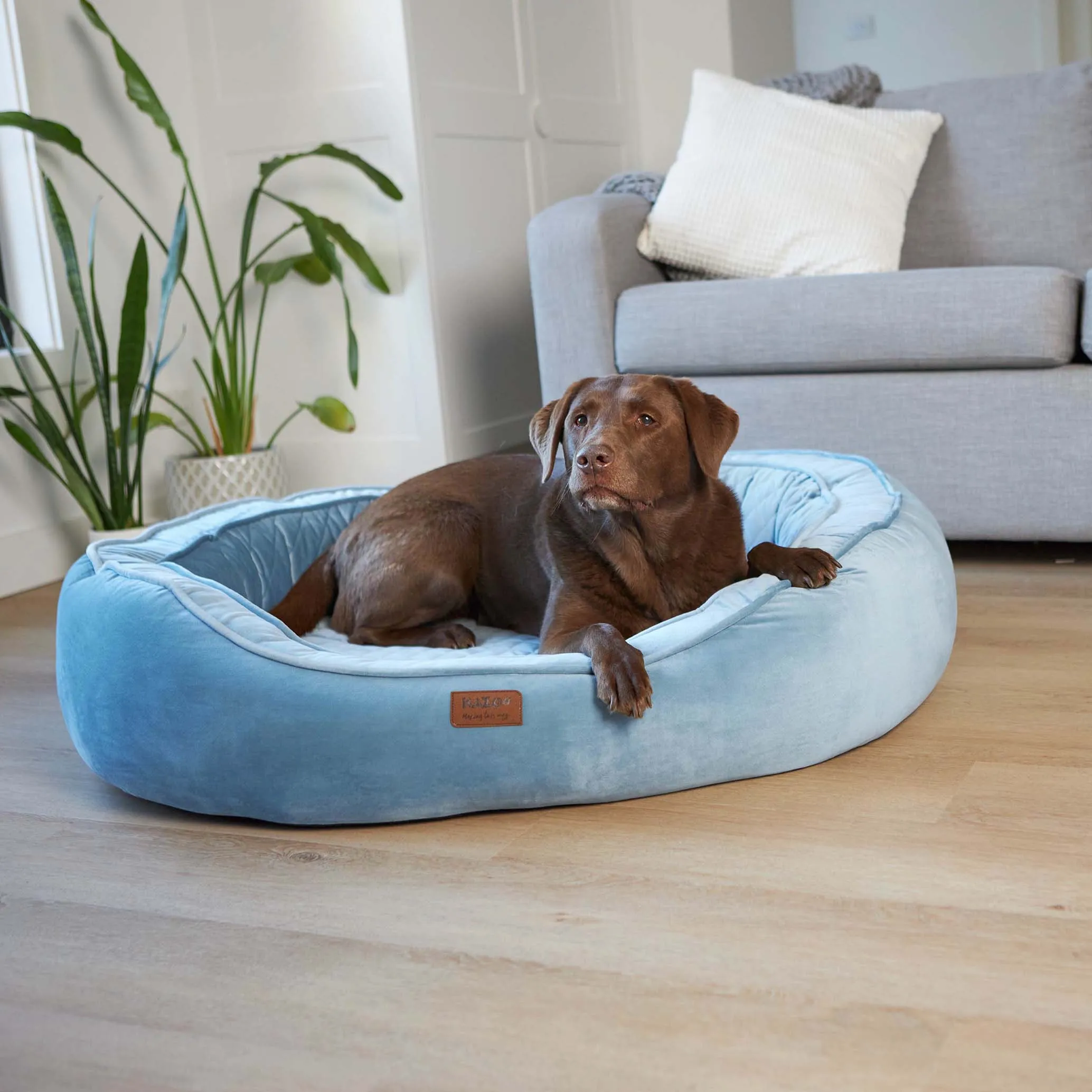 Kazoo Bilby Extra Large Twilight Blue Dog Bed