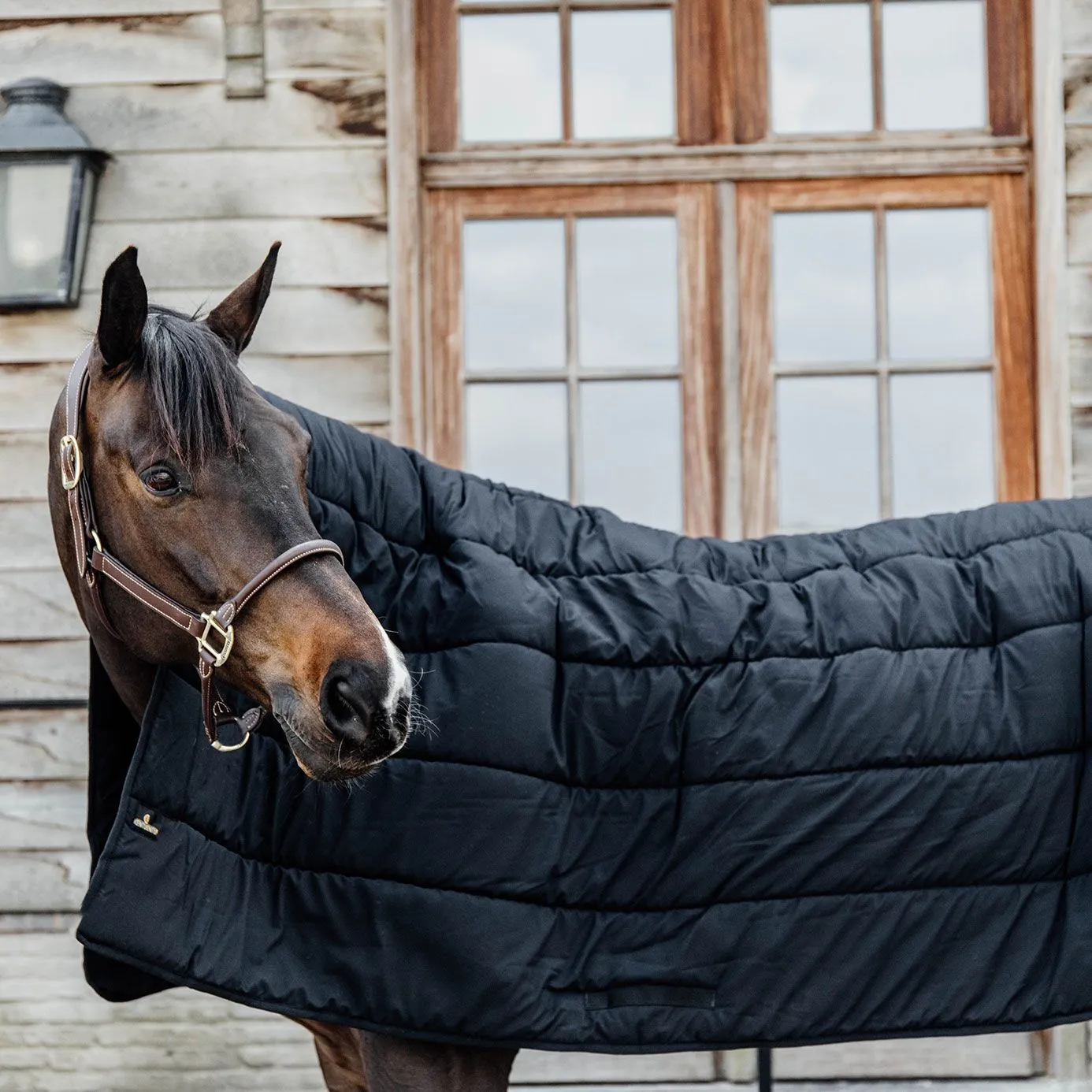 Kentucky Horsewear Under Rug Duvet - Black