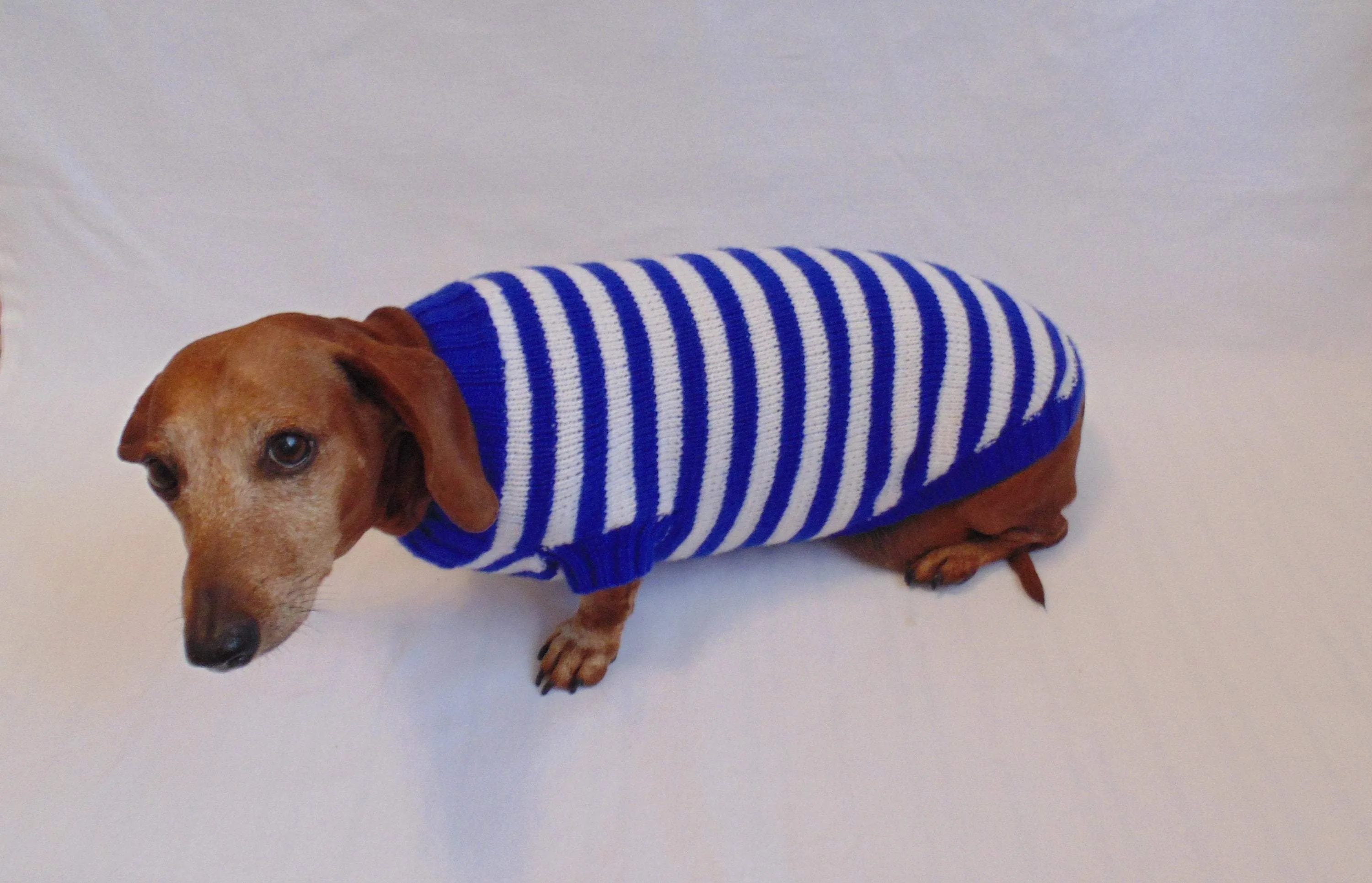 Knitted striped sweater for dog in nautical style