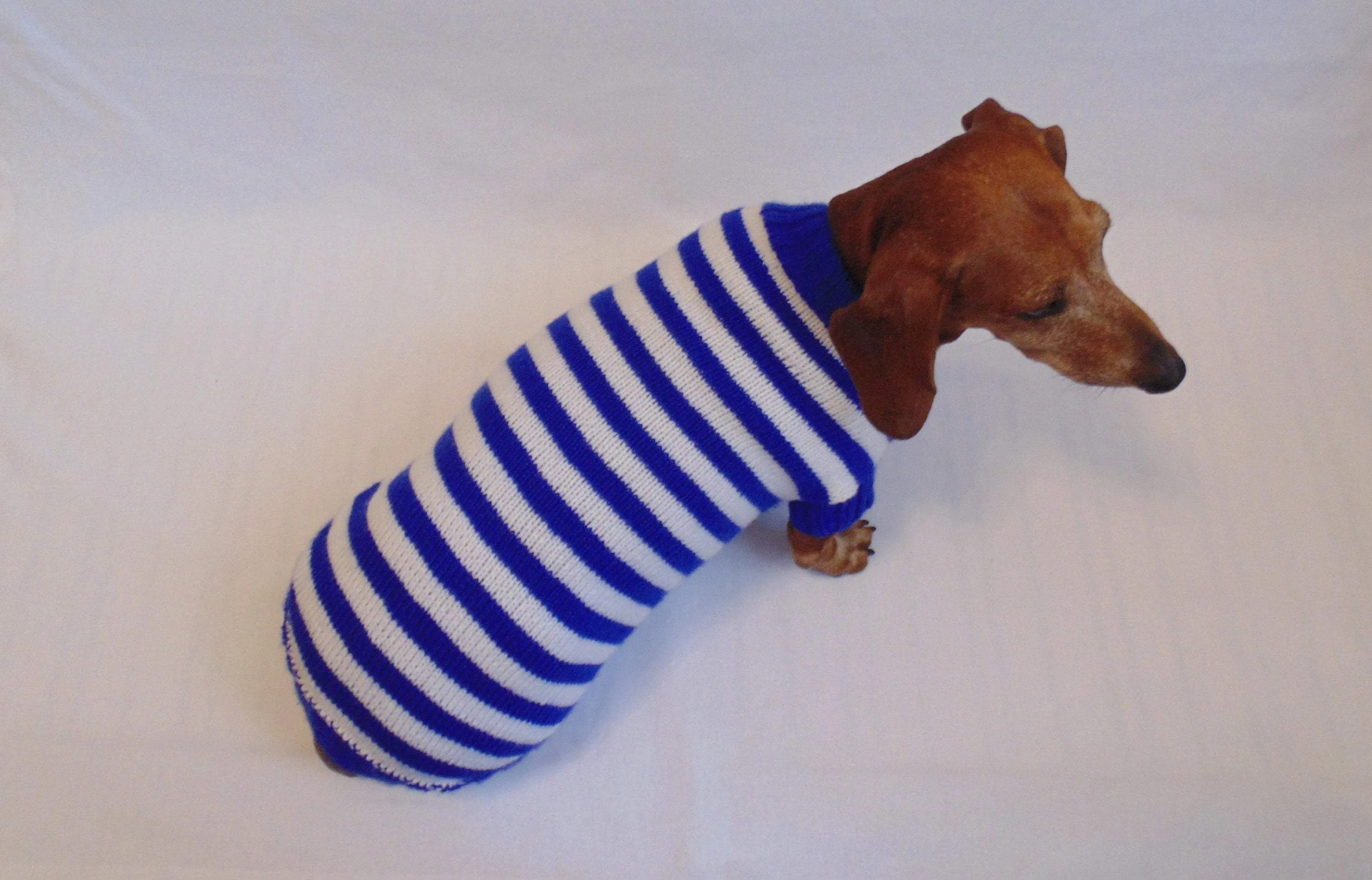 Knitted striped sweater for dog in nautical style