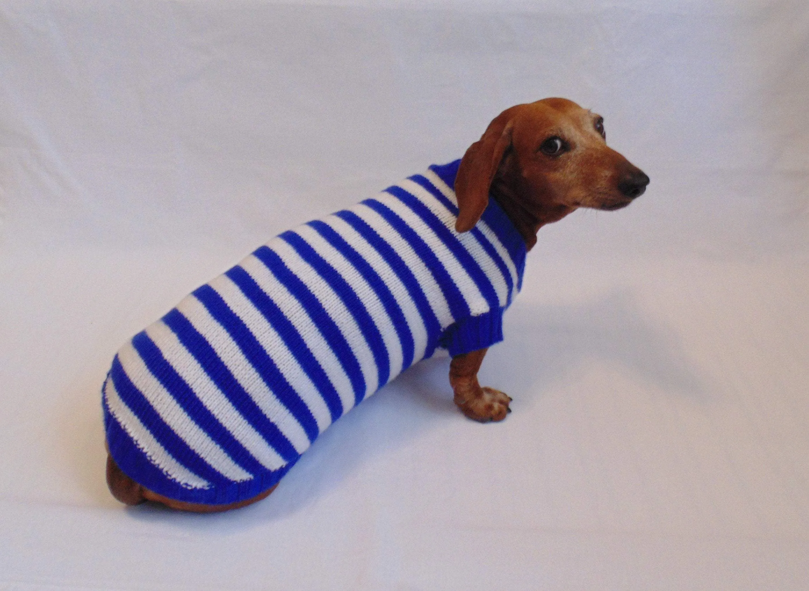 Knitted striped sweater for dog in nautical style