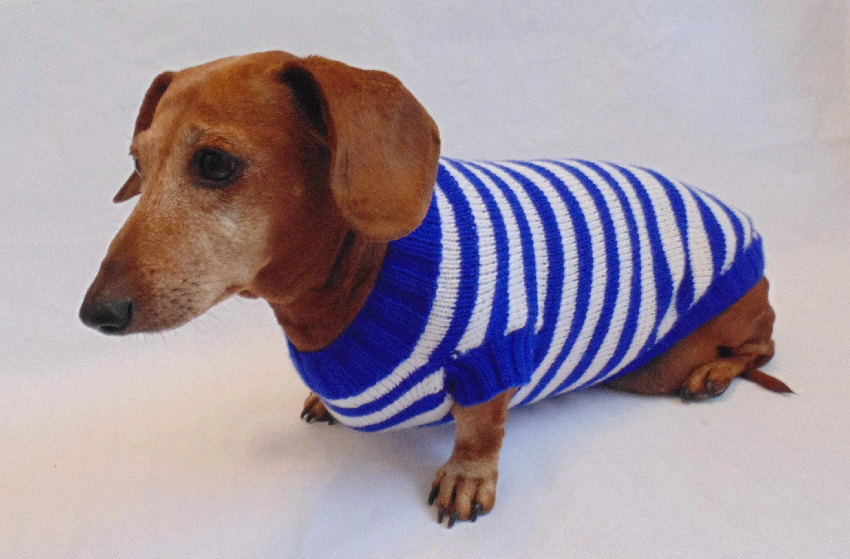 Knitted striped sweater for dog in nautical style