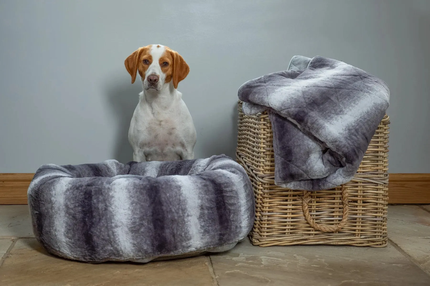 Luxury Dog Throw Blanket