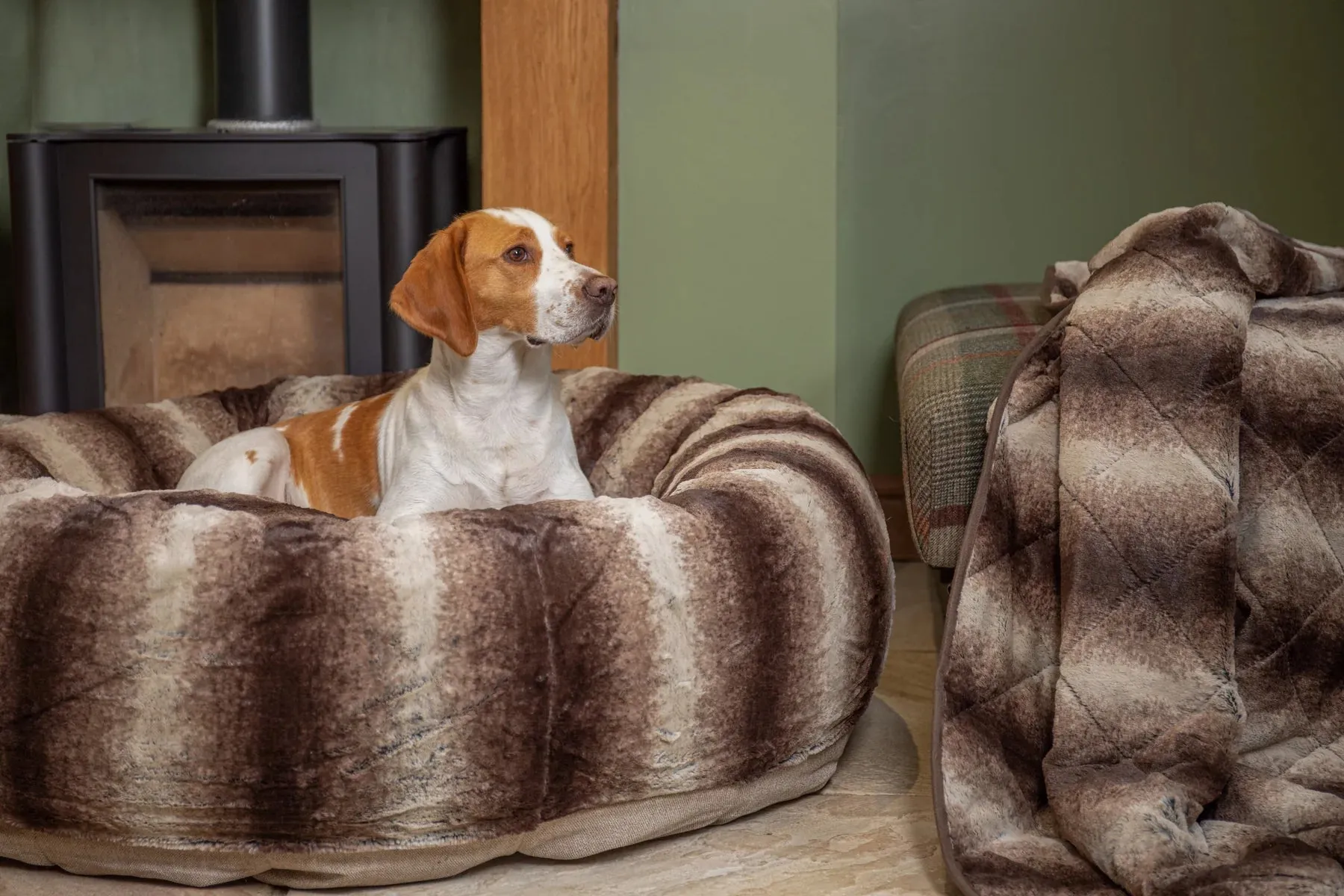 Luxury Dog Throw Blanket