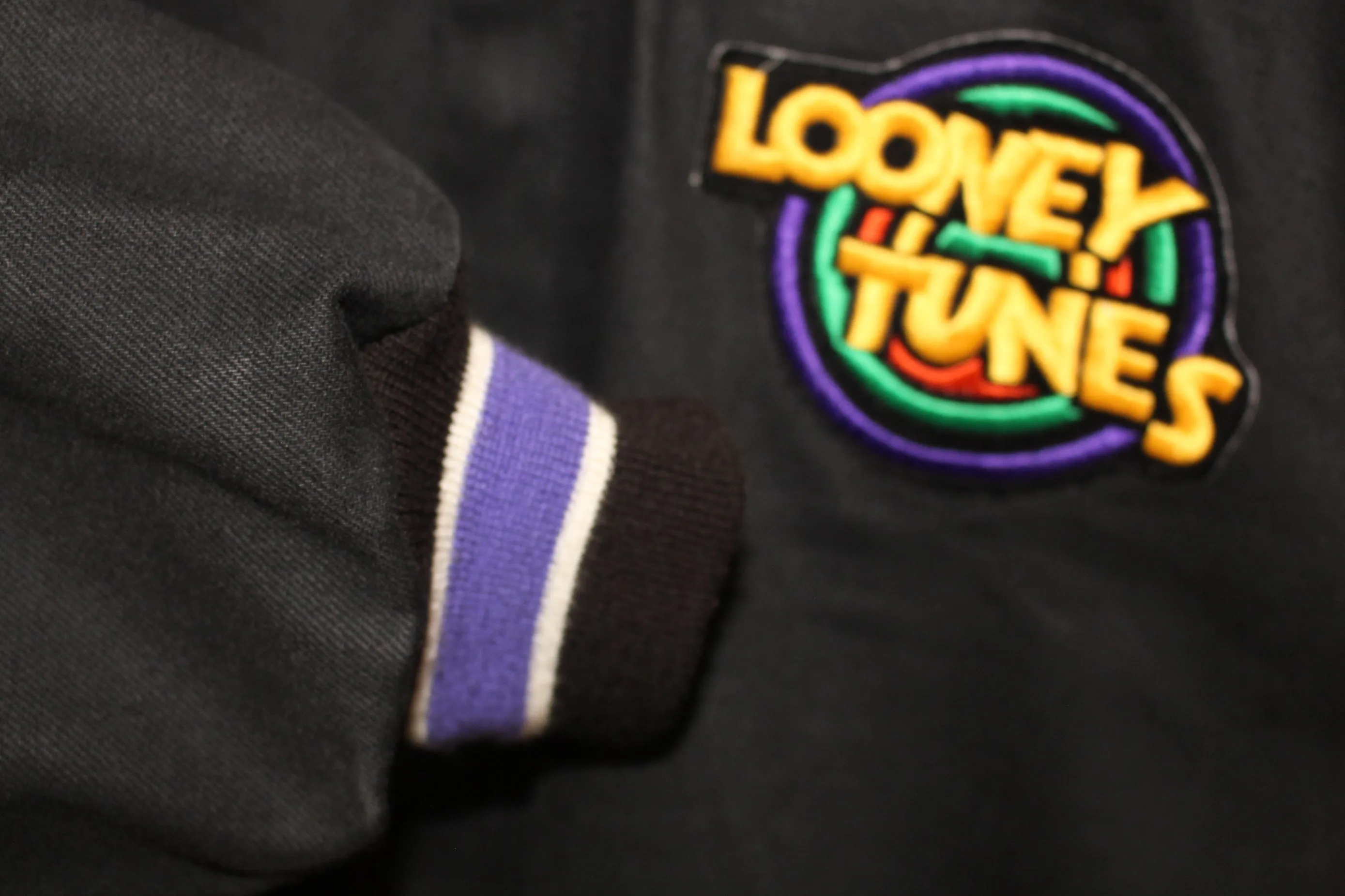 Rare 1994 Looney Tunes Leather Jeff Hamilton Jacket (L)