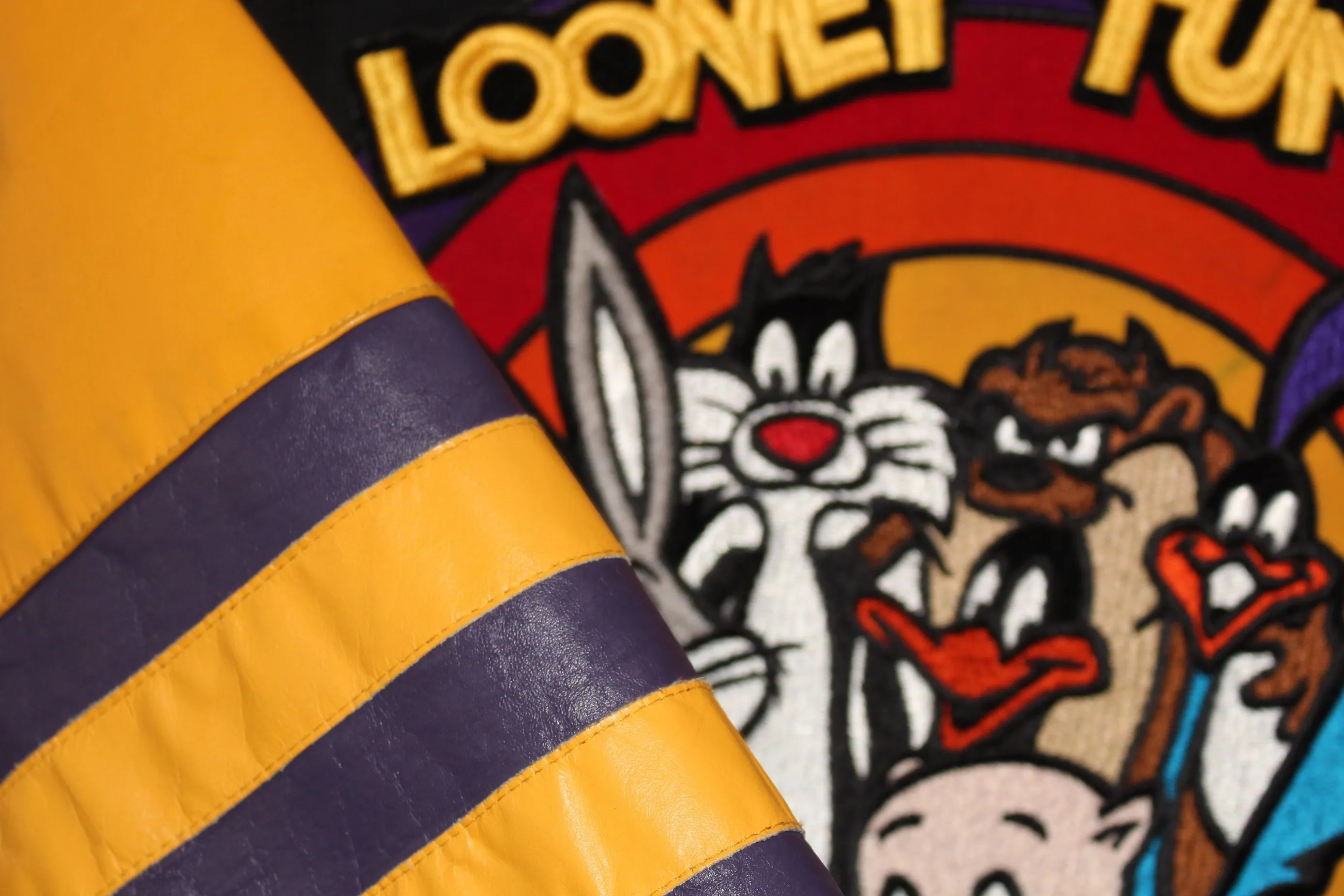 Rare 1994 Looney Tunes Leather Jeff Hamilton Jacket (L)